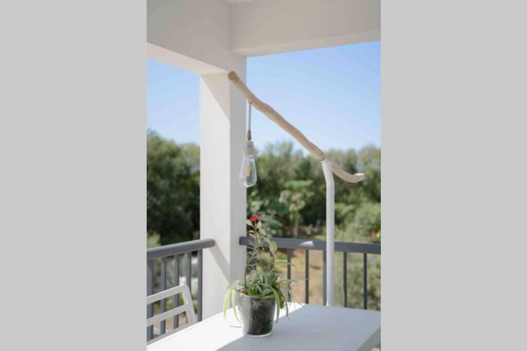 Apartmán Ti-Punch T3 Climatise Manapany Les Bains Exteriér fotografie
